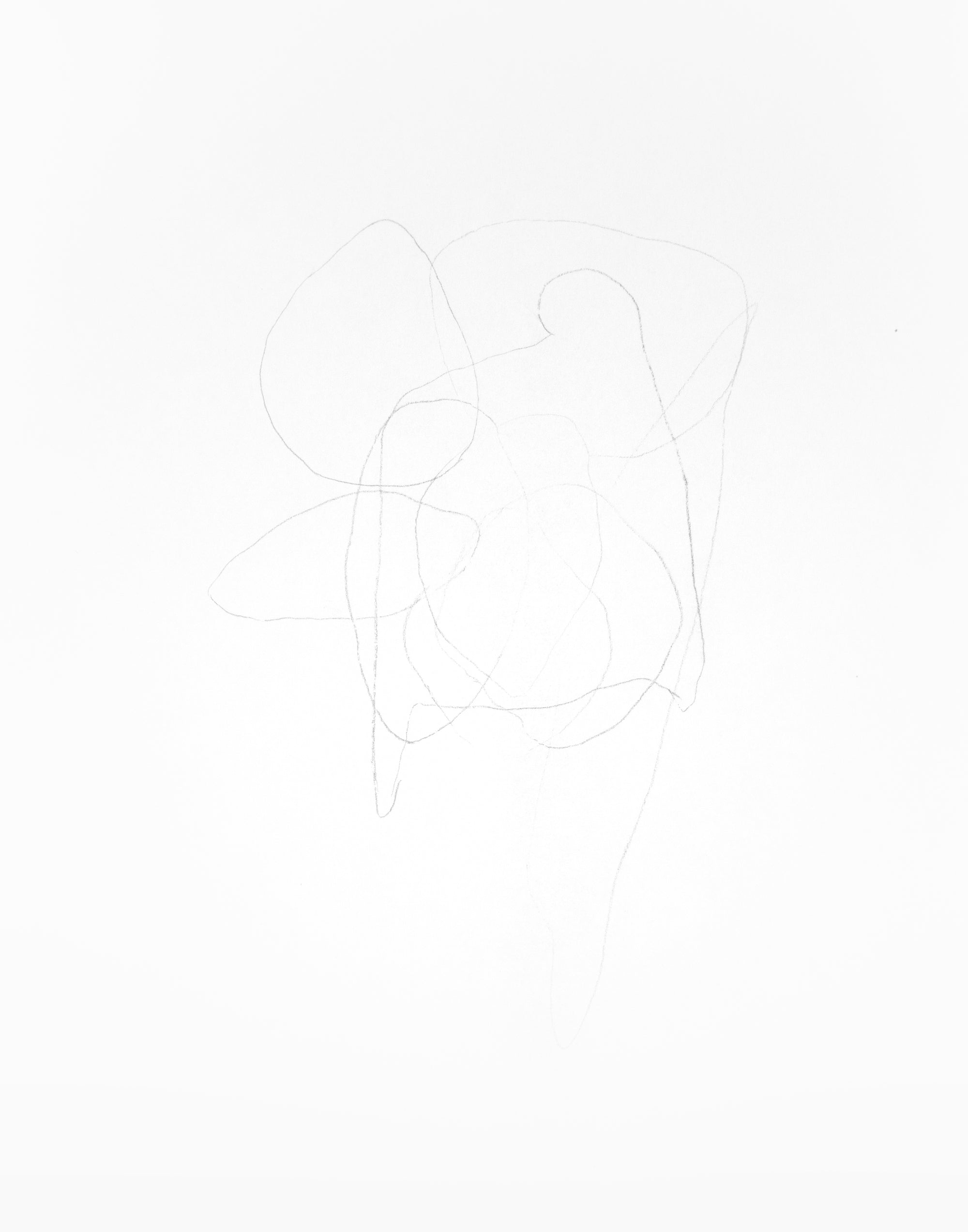 tracing piles V